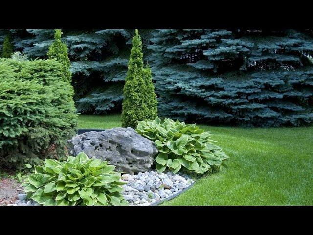 ХВОЙНЫЕ КОМПОЗИЦИИ В ЛАНДШАФТНОМ ДИЗАЙНЕ / coniferos compositions in the garden 