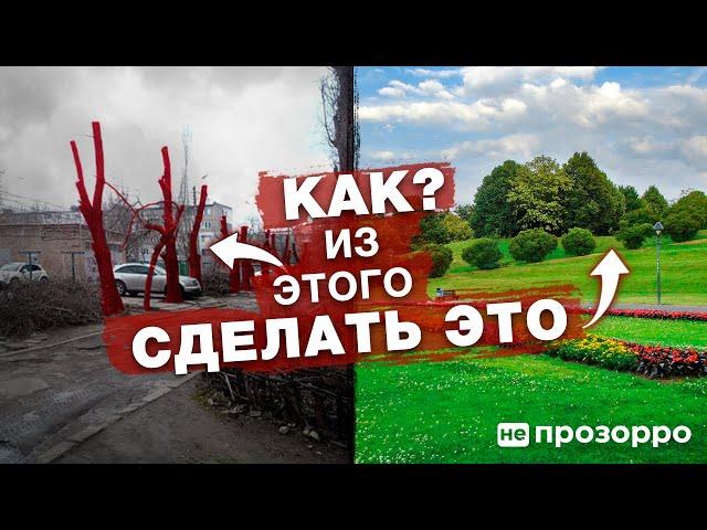 Зеленые насаждения в Николаеве, что нам мешает и кто не дает?