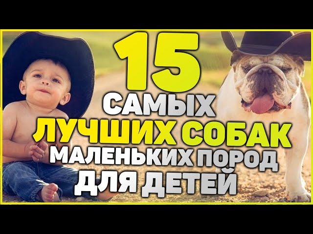 ТОП 15 Лучших Собак Для Детей - Рейтинг 2020 года