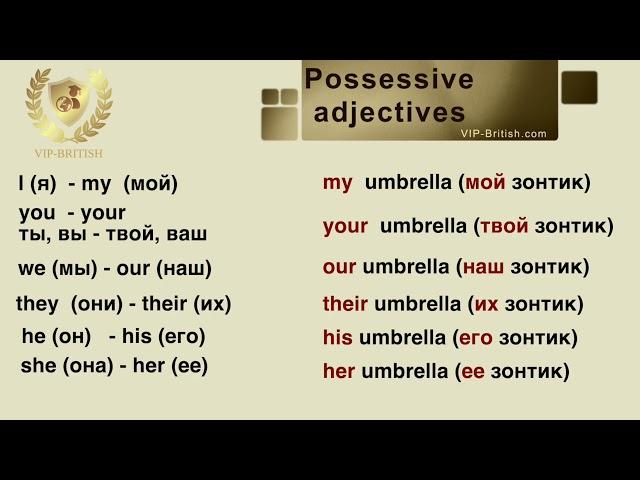 Level A1. Possessive adjectives.