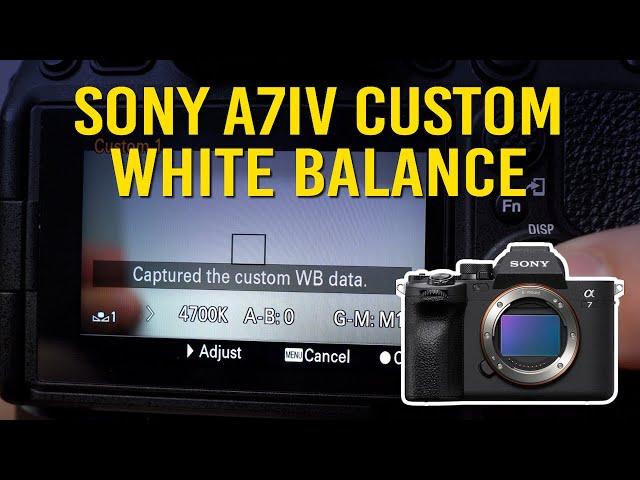 How to Set Custom White Balance on the Sony A7IV for Photo or Video Mode