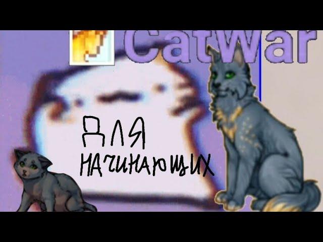 CatWar •Гайд для новичка• создание аккаунта, окрас и племя/клан!