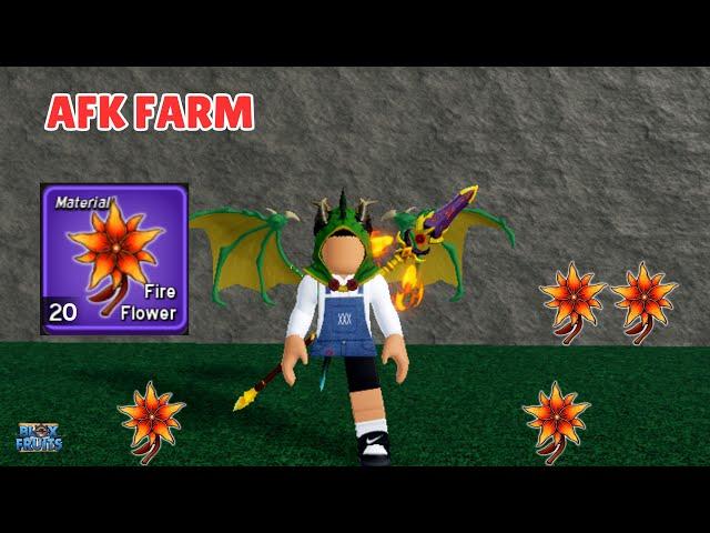 How to Farm FIRE FLOWER in Blox Fruits | FASTEST WAY Update 24