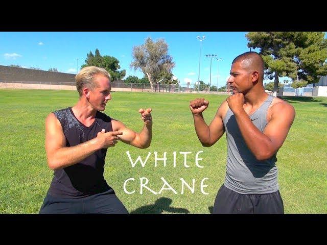 Real White Crane Kung Fu - Top 10 Crane Fighting Moves!