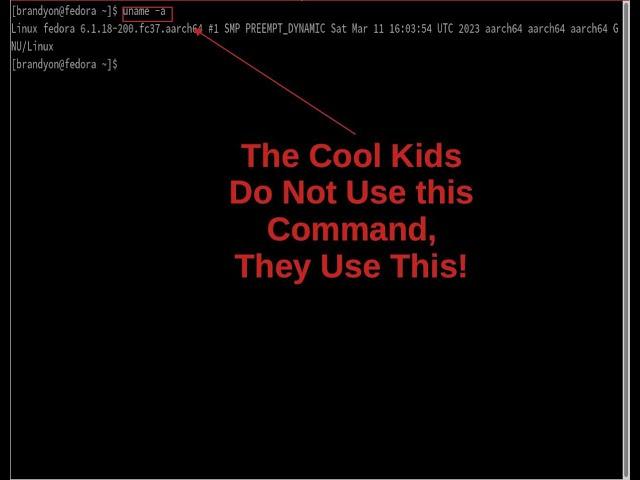 How the Cool Kids Get Their System Information in Linux