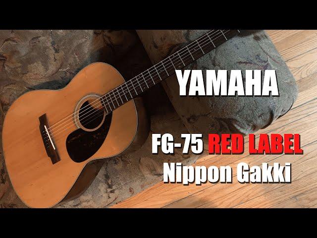 Yamaha Red Label FG 75 Nippon Gakki - Initial Cleanup