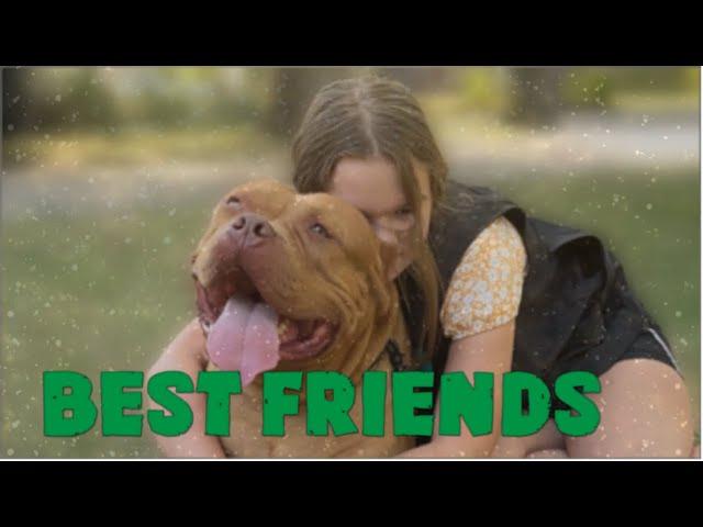 XL American Bully Friendship: Buster & Alli's Bond | Kingdombullykennels.com