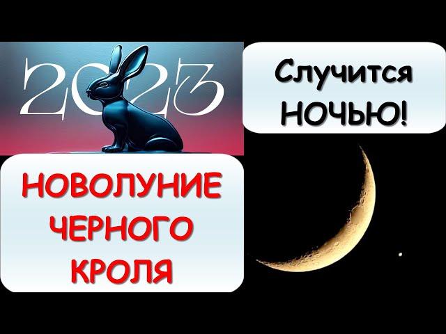 Сильнейшая энергетика! Китайский новый год совпадает с новолунием 21 января 2023 года