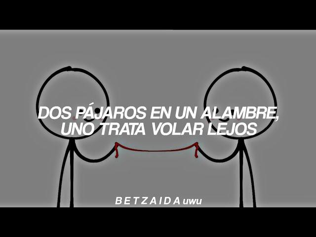 "Two birds on a wire, one says "c'mon" and the other says "i'm tired"..." [Tiktok] (Sub. Español)