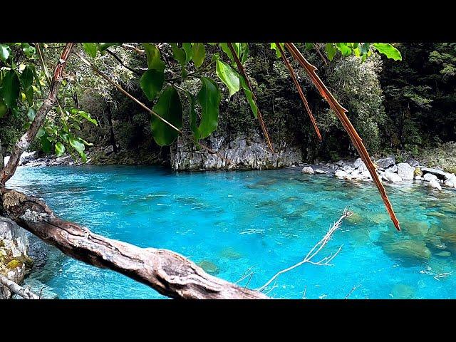 Fly Fishing At It's Absolute Best