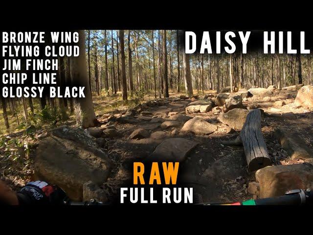 Daisy Hill MTB | RAW RUN | BronzeWing, Flying Cloud, Jim Finch, Chip Line