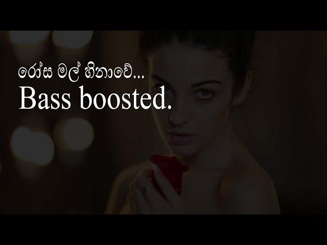 Rosa Mal Hinawe Bass Boosted (රෝස මල් හිනාවේ)