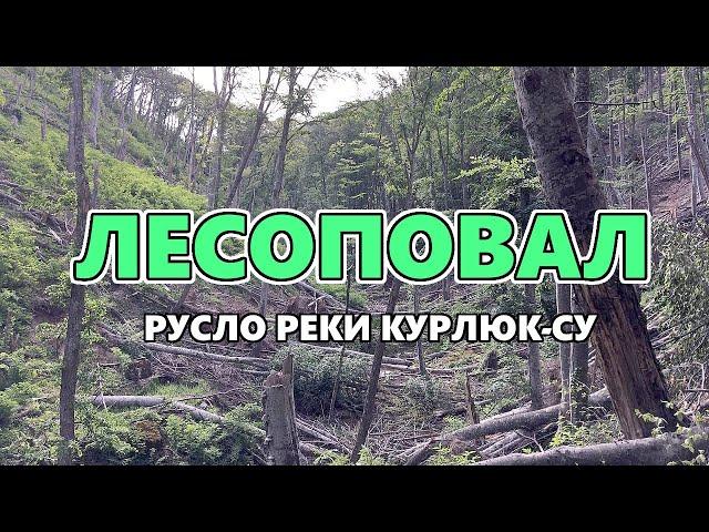 Русло реки Курлюк-Су : завалы