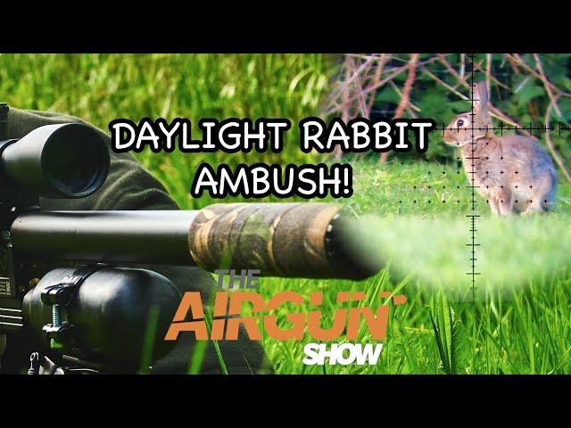 The Airgun Show | Daytime rabbit hunting | Konus Eternity gunsight review