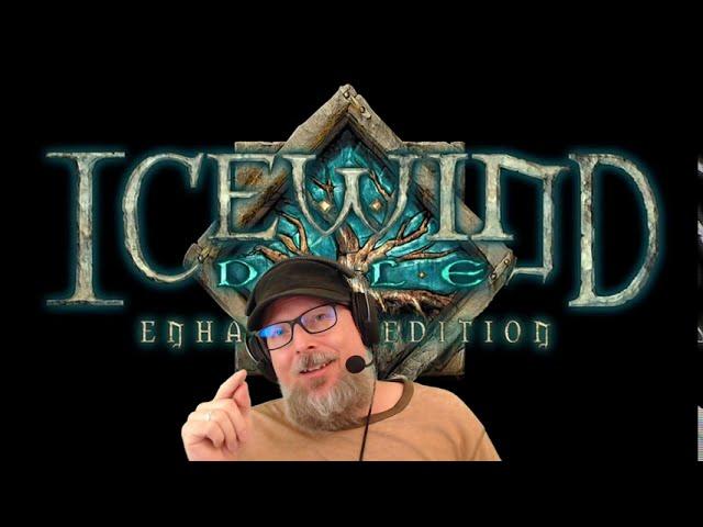 Icewind Dale: Enhanced Edition Review - Is It Worth It?