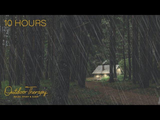 Thunderstorm in the Forest | RAIN & RUMBLING THUNDER SOUNDS | RELAX | STUDY | SLEEP