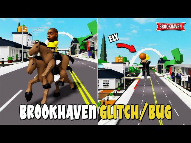 NEW GLITCH/BUG In Brookhaven (Fly & Double Horse) - Roblox