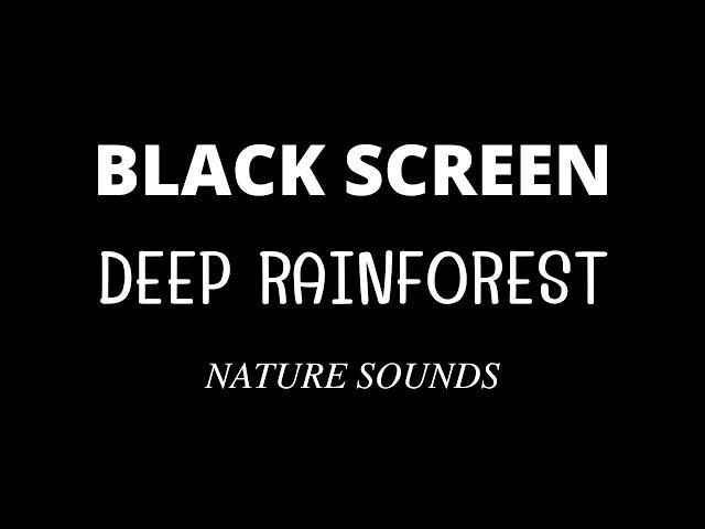 Tropical Rainforest Sounds with Rain 10 Hours Black Screen Relaxing Sleep Dark Screen, Sleep well