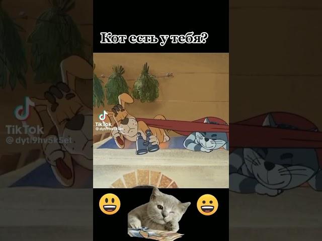 Шерстяные яйца)ТОП(!!!!!