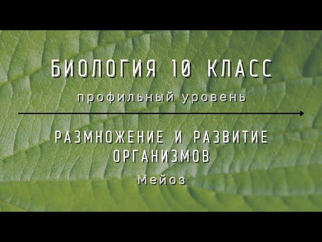 Биология 10 кл Проф уровень §40 Мейоз