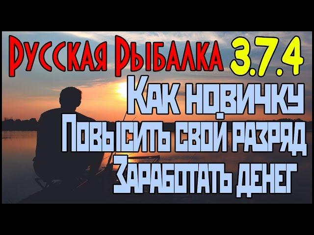 Игра Русская Рыбалка 3.7.4 - Как новичку в начале игры повысить свой разряд и заработать денег