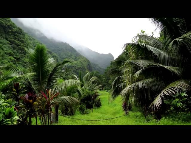 Tahiti Island. French Polynesia