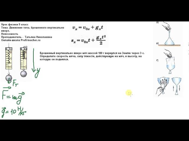 Физика. 9 класс. Движение тела, брошенного вертикально вверх. Татьяна Николаевна. Profi-Teacher.ru