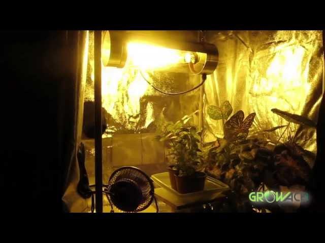 HID Grow Light Digital Dimming Ballast REVIEW Solarlux Series Hydroponics GrowAce.com