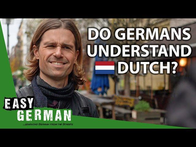 Can Germans Understand Dutch? | Easy German 428