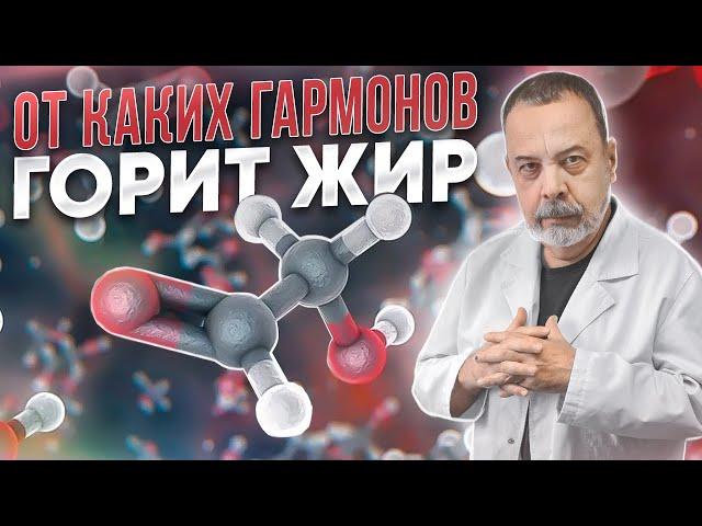 ОТ КАКИХ ГОРМОНОВ ГОРИТ ЖИР АЛЕКСЕЙ КОВАЛЬКОВ О САМЫХ СИЛЬНЫХ ЖИРОСЖИГАЮЩИХ ГОРМОНАХ- КАК ГОРЯТ ЖИРЫ