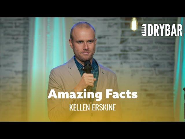 Amazing Facts About The Human Body. Kellen Erskine