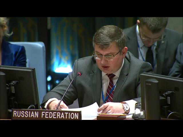 Statement by Mr. Alexander Repkin at the UN Security Council Meeting on Abyei