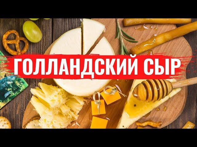 ТОП-5 Голландских сыров. Простые рецепты блюд из сыра