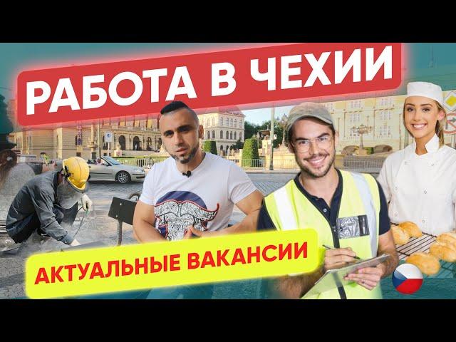 Работа в Чехии для украинцев 2021. Актуальные вакансии.