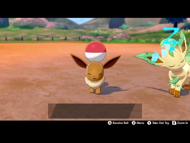 Playing Fetch With Eevee