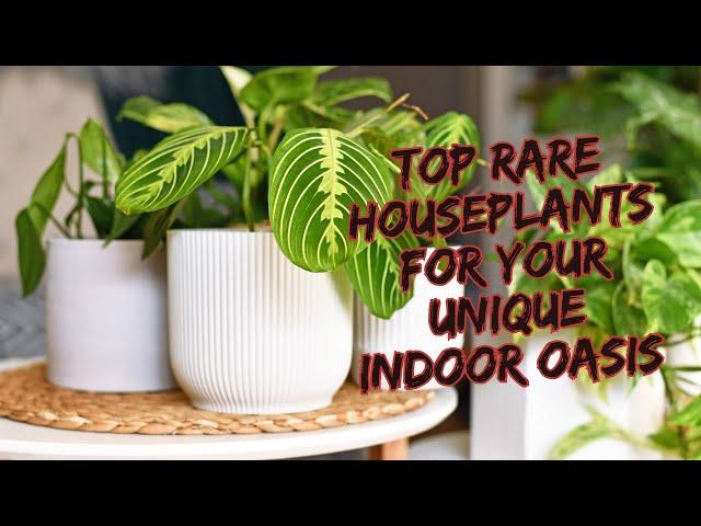 Top 10 Rare Houseplants indoor | Easy Uncommon Unique Houseplants That You Will Love