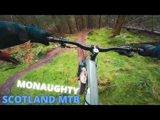 Monaughty / Pluscarden trails: Inbetweeners, Craigs