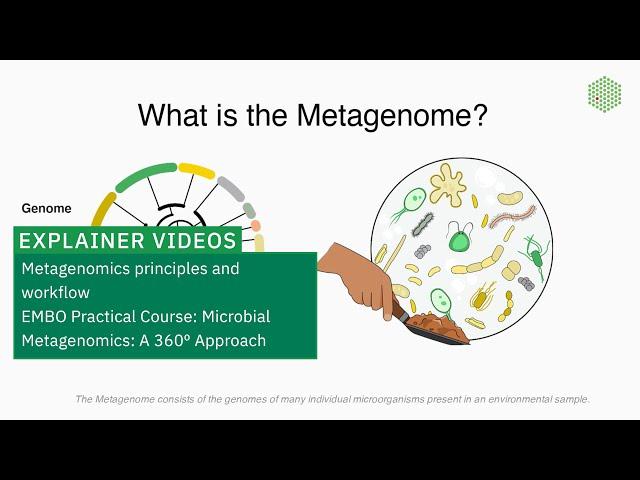 Metagenomics principles and workflow