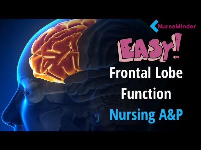 Frontal Lobe Functions   Easy way to Remember