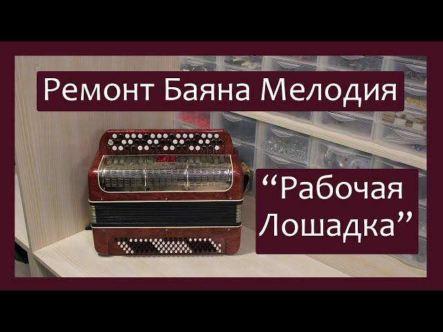 Трудовые будни / Ремонт Баяна "Мелодия" / "Рабочая лошадка"