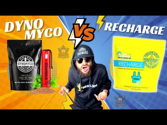 RECHARGE vs Dynomyco...the HARD TRUTH!! 