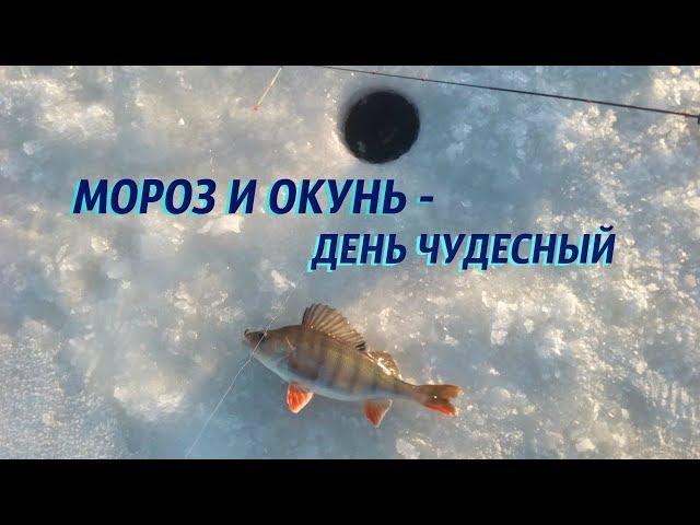 МОРОЗ И ОКУНЬ - ДЕНЬ ЧУДЕСНЫЙ
