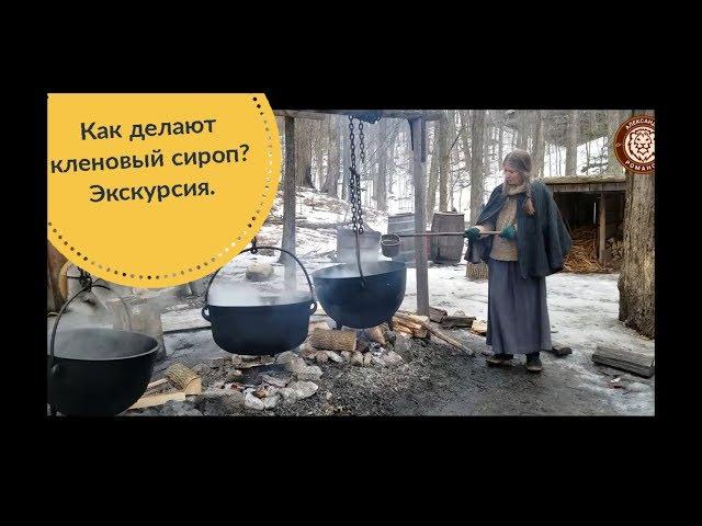 Как делают кленовый  сироп? Канада. Экскурсия.