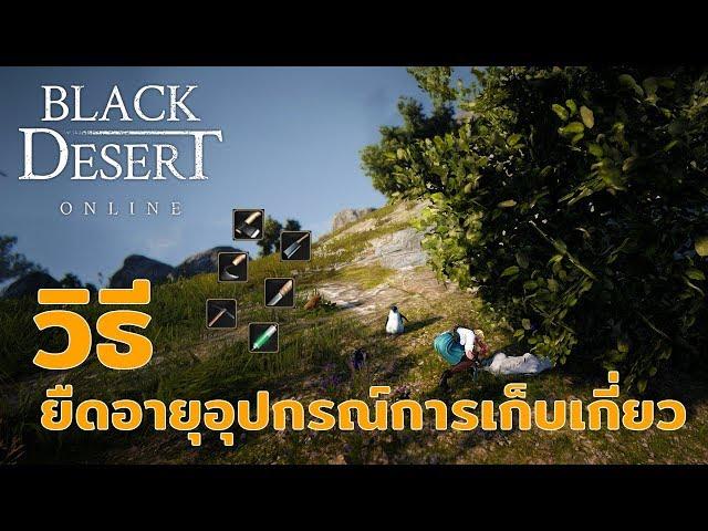 [BDO] วิธียืดอายุของอุปกรณ์เก็บเกี่ยว (Durability decrease resistance)