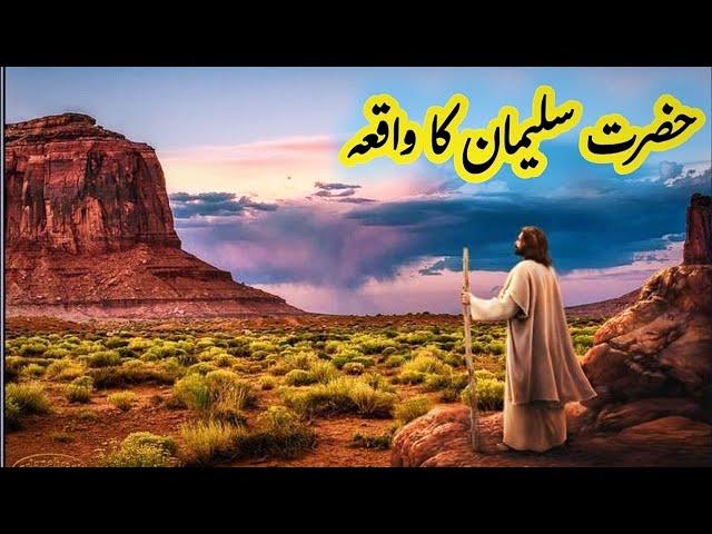 Hazrat suleman ka waqia | qasas ul anbiya | Charagh E Manzil