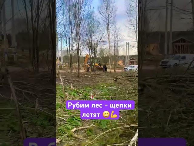 Рубим лес - щепки летят #строительстводомов