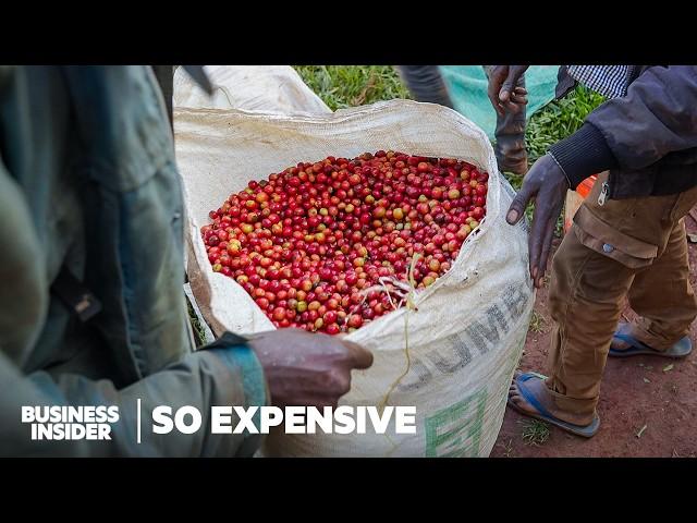 Why Single-Origin Coffee Is So Expensive | So Expensive | Business Insider