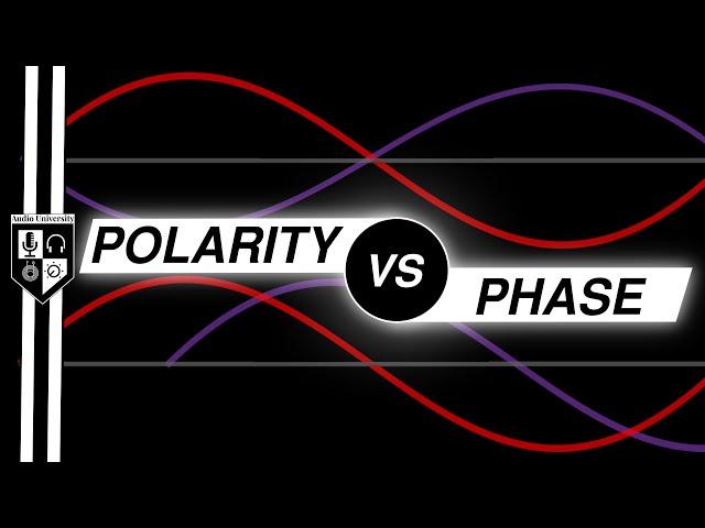 POLARITY vs PHASE: What's the Difference?