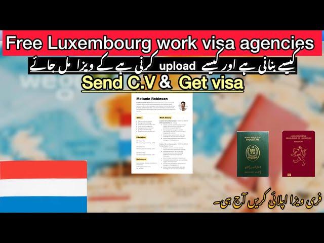 How to make cv & cover letter 2024 update/Luxembourg cv plus cover letter