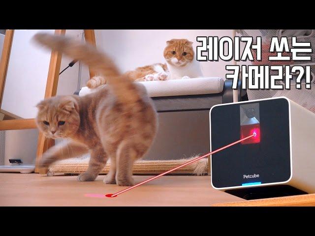 Laser pointer pet camera "PETCUBE"  Unboxing & Review [SURI&NOEL]